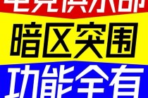 暗区突围「gs」辅助